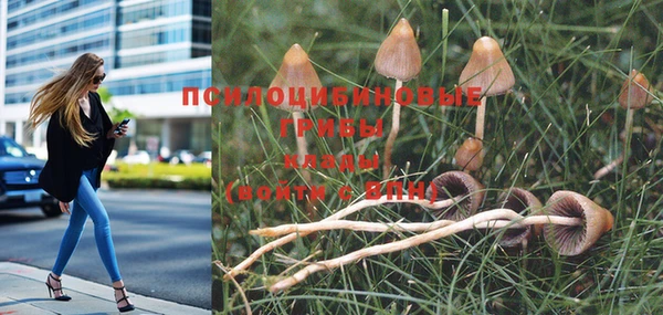 мефедрон мука Нефтекумск